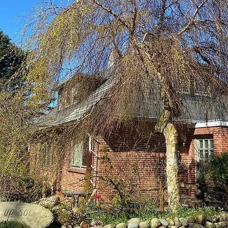 Nordwind * Westerland