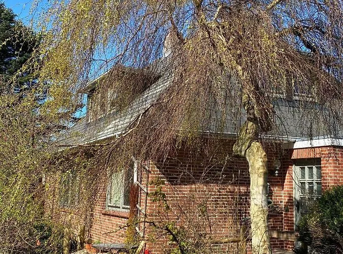 Nordwind * 韦斯特兰